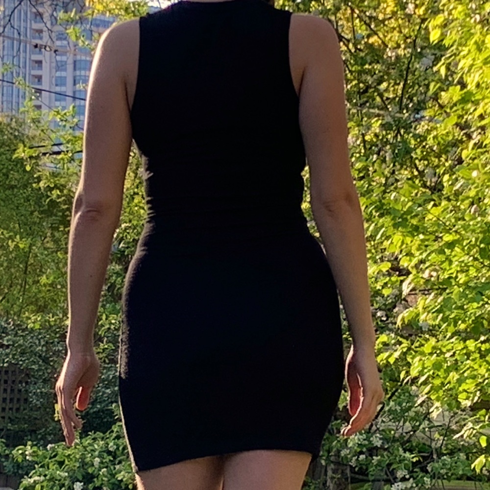 Wilfred Free Cut-Out Dress - Picture 3 of 6